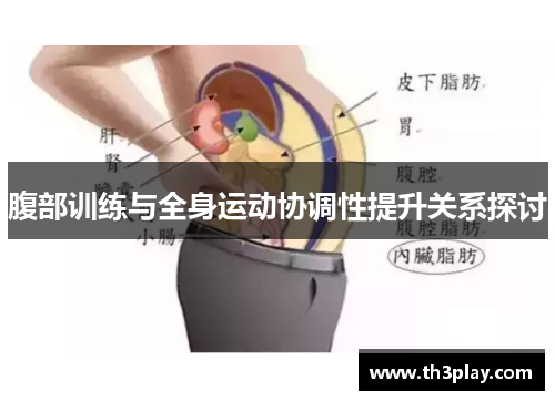 腹部训练与全身运动协调性提升关系探讨