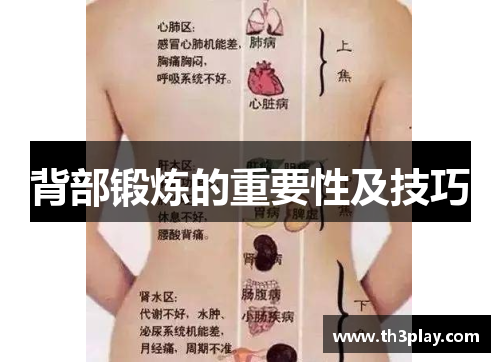 背部锻炼的重要性及技巧 背部锻炼的重要性及技巧